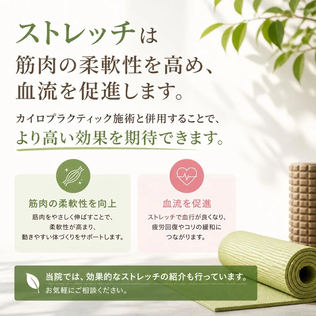 ストレッチの重要性