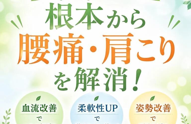 ストレッチで根本から腰痛・肩こりを解消！