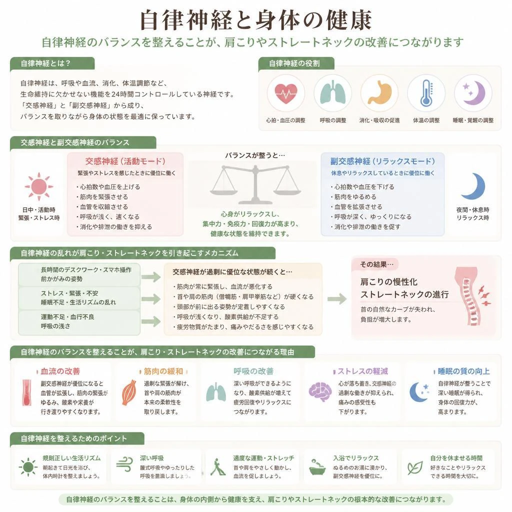 自律神経と健康の関係