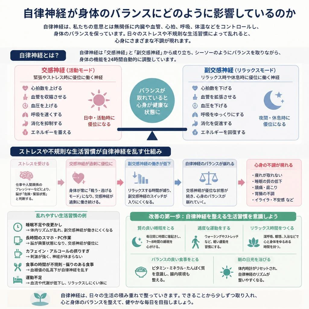 自律神経と身体の関係