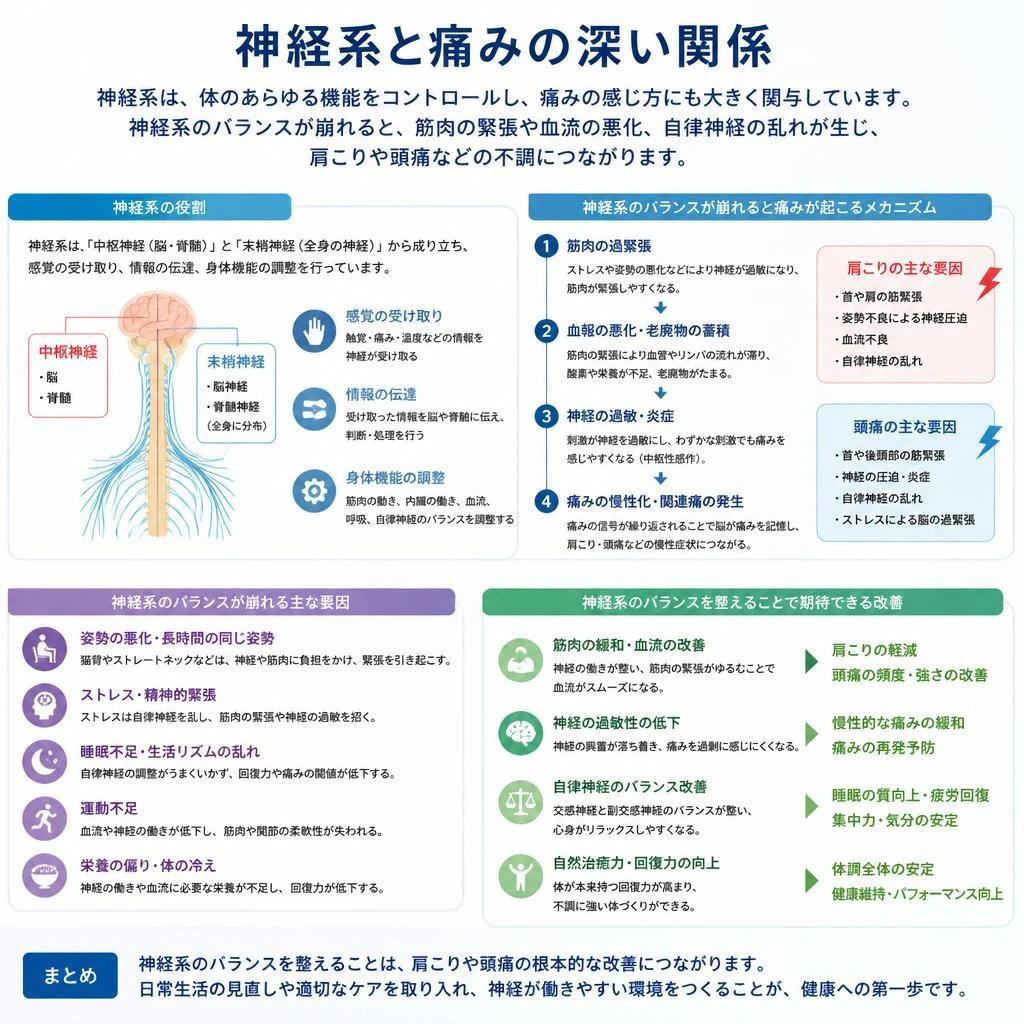 神経系と身体の関係